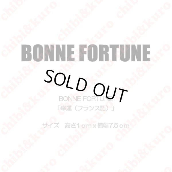 画像1: 【50％OFF】BONNE FORTUNE・幸運（フランス語）(2)  高さ1cmx7.5cm (1)