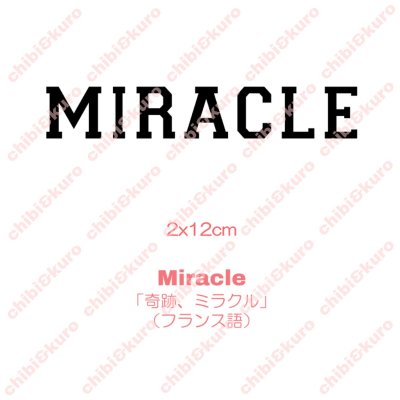 画像2: 【50％off】はがし済み★Miracle「奇跡、ミラクル」文字シート　2ｘ12ｃｍ